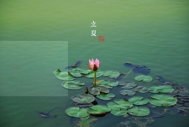 立夏的經(jīng)典語(yǔ)錄