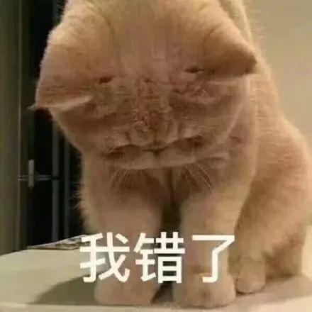 和男朋友說對(duì)不起的句子