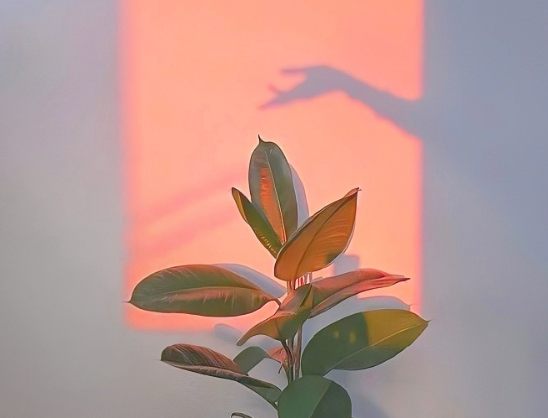 生活的毒雞湯深入心靈的句子