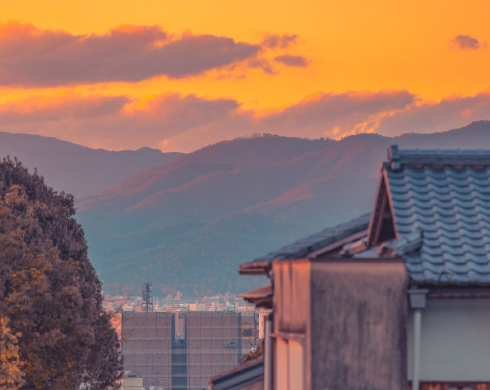 陽(yáng)光向上的語(yǔ)句精選