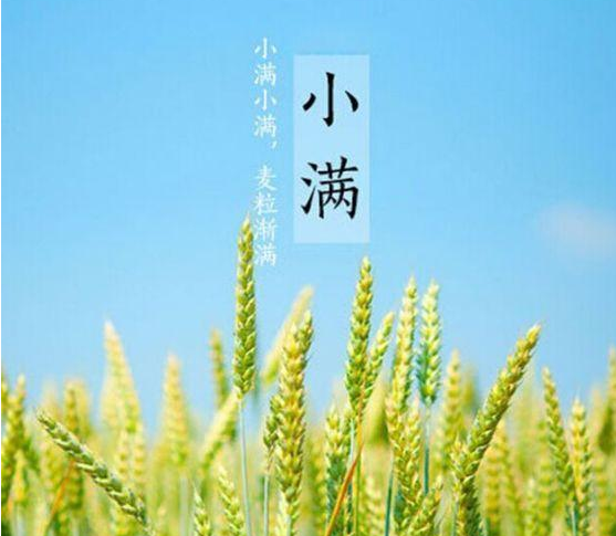 小滿的詩句