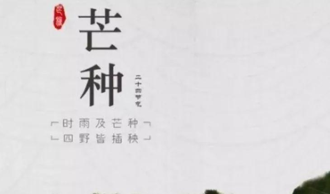 芒種的句子