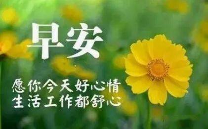 早上好問候語(yǔ) 適合清晨發(fā)的朋友圈暖心話