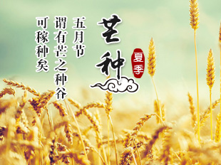 關(guān)于芒種的古詩10首