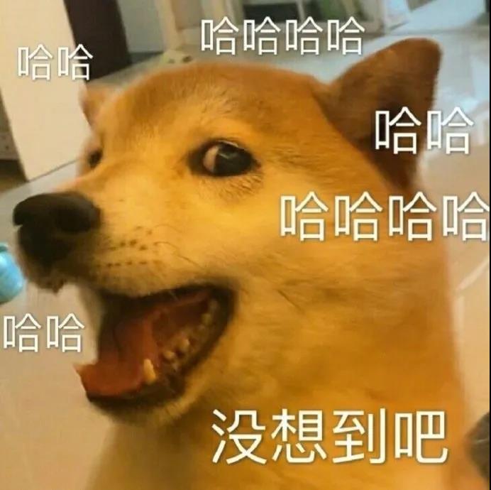 王思聰蔥油餅之土味情話 超級(jí)油膩的土味情話